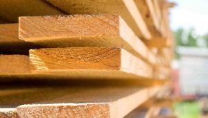 Все, что нужно знать о хвойных породах древесины