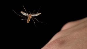 Как избавиться от комаров ночью?