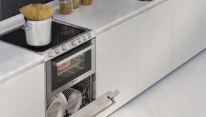 Как выбрать плиту с посудомоечной машиной?