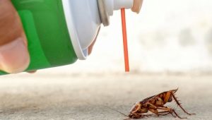 Обзор самых эффективных средств от тараканов
