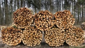 Как заготовить дрова?