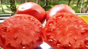 Сорта мясистых помидоров