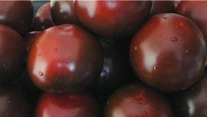 Сорта шоколадных и коричневых сортов томатов
