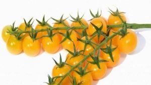 Сорта желтых помидоров черри