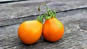 Секреты выращивания томата Японский трюфель