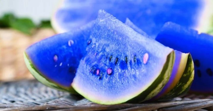 Jak pěstovat modrý meloun