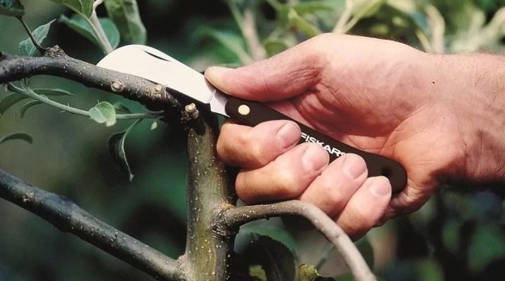 Плоский садовый нож для прививок