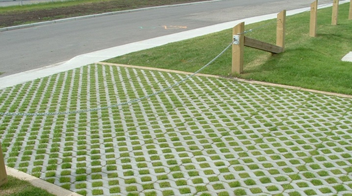 Эко парковка на газоне из бетона купить блоки из керамзитобетона стоимость