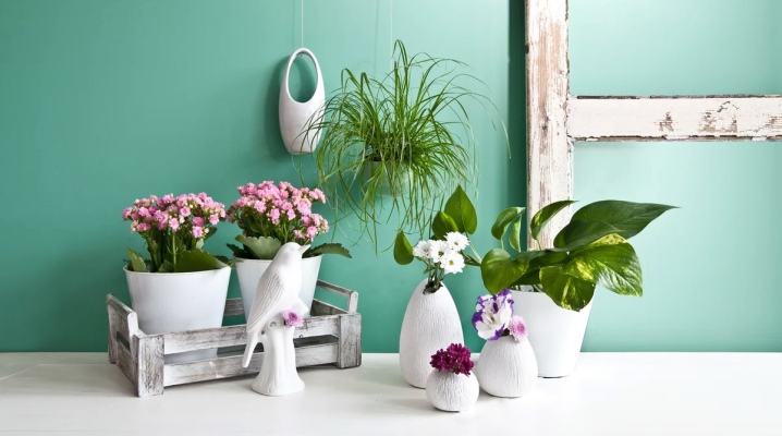 Цветы в интерьере (58 фото): композиции из комнатных растений в одном горшке, приемы размещения цветов на стене и на полу, идеи озеленения квартиры