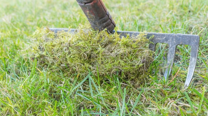Jak se zbavit mechu v trávníku