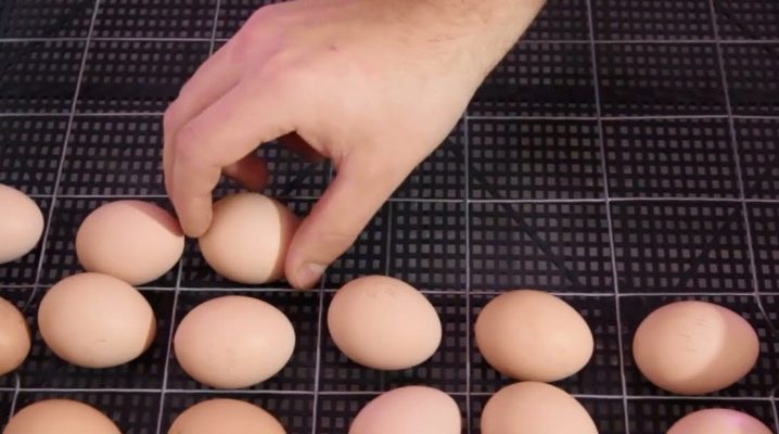 V jaké poloze by měla být vejce umístěna v inkubátoru?