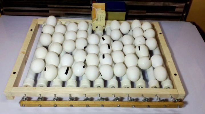 Kdy už nepotřebujete obracet vajíčka v inkubátoru?