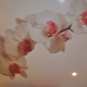 Натяжной потолок с орхидеей: оригинальный декор в интерьере