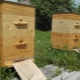 Ульи для пчел: виды, советы по выбору, размещению и уходу
