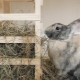Как сделать сенник для кроликов?