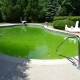 Зеленеет вода в бассейне: способы очистки и предотвращения проблемы