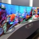 Телевизоры OLED: что это такое, обзор моделей, критерии выбора
