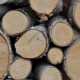 Особенности деловой древесины 