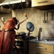 Откуда появляются тараканы в квартире и чего они боятся?