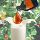 Использование молока с йодом для помидоров