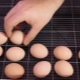 Как выбрать и заложить яйца в инкубатор?