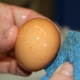 Обработка яиц в инкубаторе