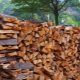 Какими бывают дрова и какие лучше выбрать?
