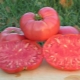 Cорта крупных мясистых томатов