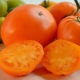 Лучшие сорта оранжевых томатов