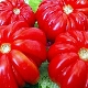 Ребристые сорта томатов