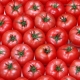 Самые урожайные сорта томатов