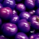 Сорта фиолетовых помидоров