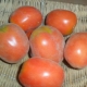 Сорта пушистых томатов