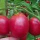 Сорта розовых томаты для открытого грунта