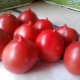 Сорта томатов с носиком