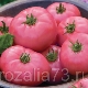 Сорта томатов серии Волгоградский