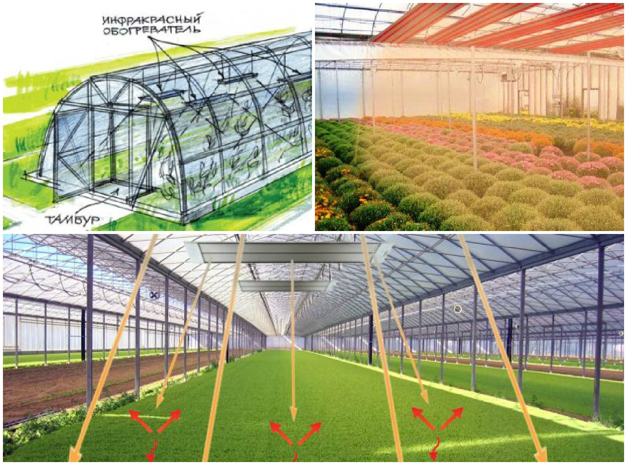 Как облагородить теплицу внутри фото