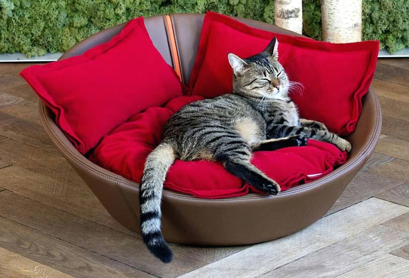 Оригинальная кровать для кота