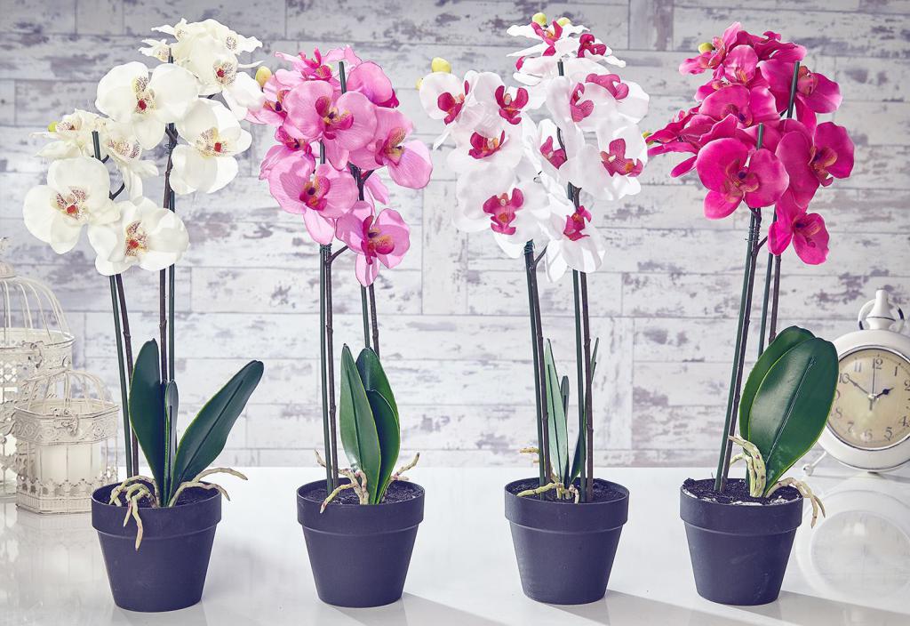 Как выбрать лампы для растений Какие фитолампы подойдут для комнатных цветов Тонкости выбора мощной лампы для орхидей и других растений Рейтинг лучших моделей