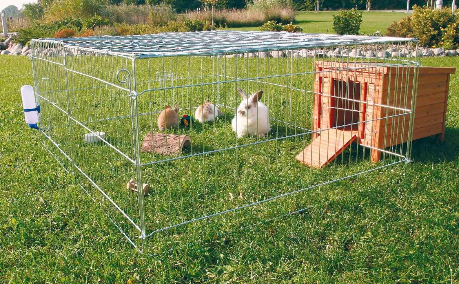 Загон для кроликов