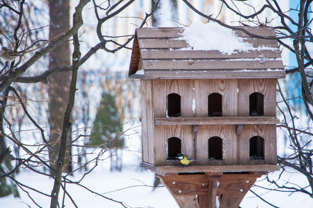 Скворечник зимой. Кормушка для птиц. Зимняя кормушка для птиц. Двухэтажная кормушка для птиц. Кормушка для птиц двухъярусная.