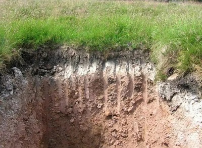 Реферат: Дерново-подзолистые почвы