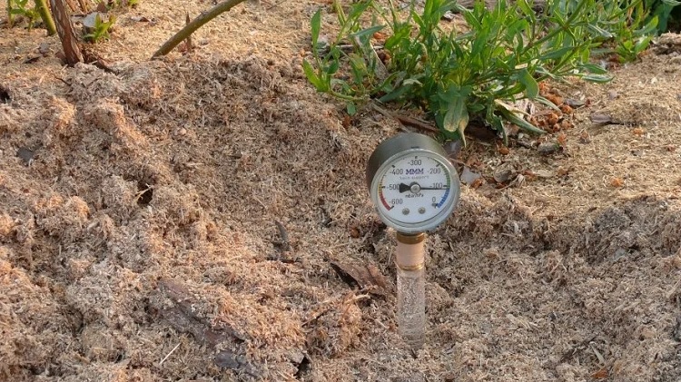 Почвы повышенной влажности