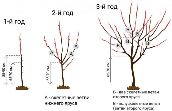 Обрезка картинки по размеру