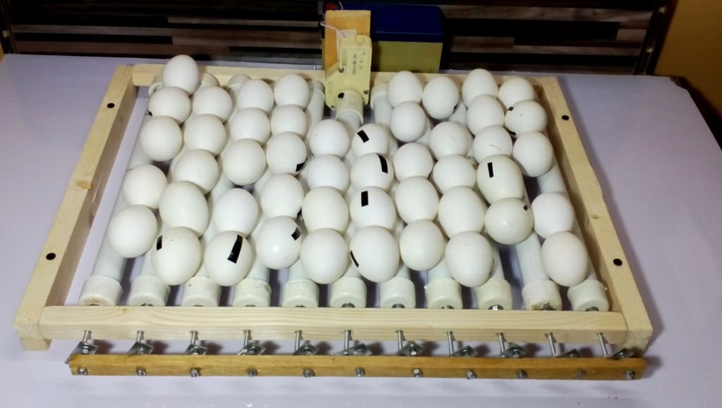 Поворот в инкубаторе блиц. Механизм переворота яиц в инкубаторе. Механизм( привод) переворота яиц для инкубаторов блиц 63. Пластиковый лоток для яиц в инкубатор ово 78. Автоповорот яиц в инкубаторе.