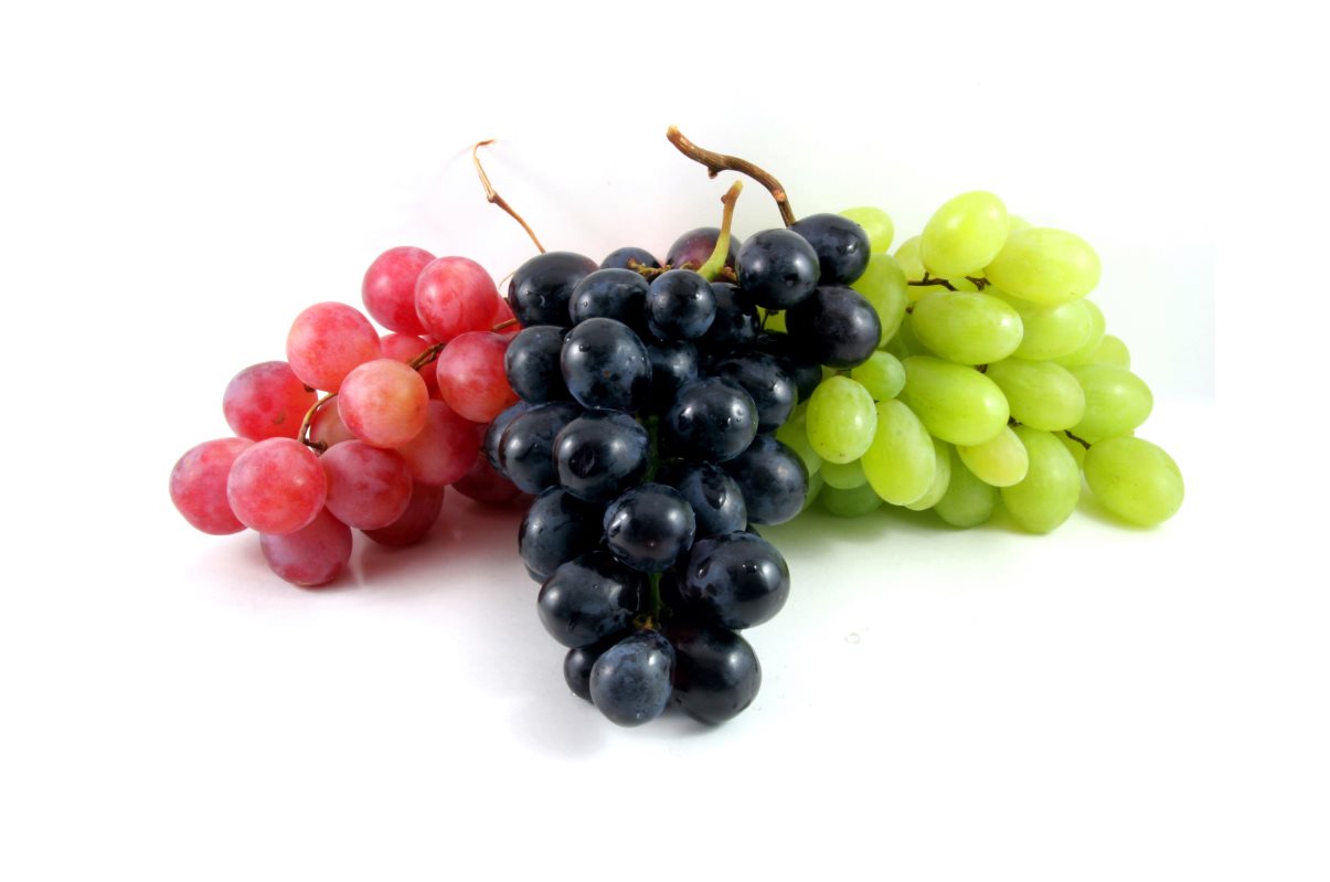 виноград алвика описание сорта фото отзывы