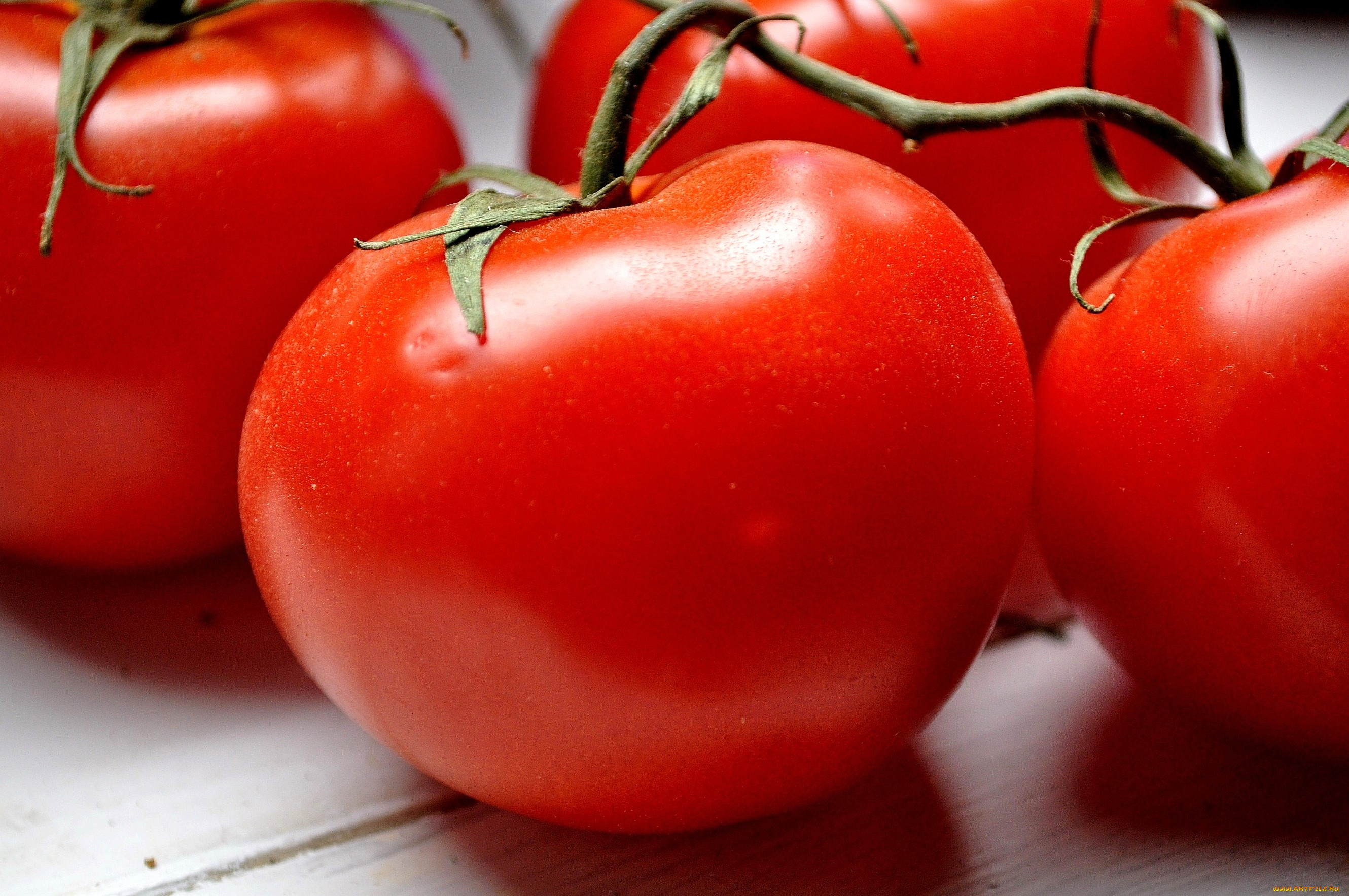 помидоры красным красно описание сорта фото