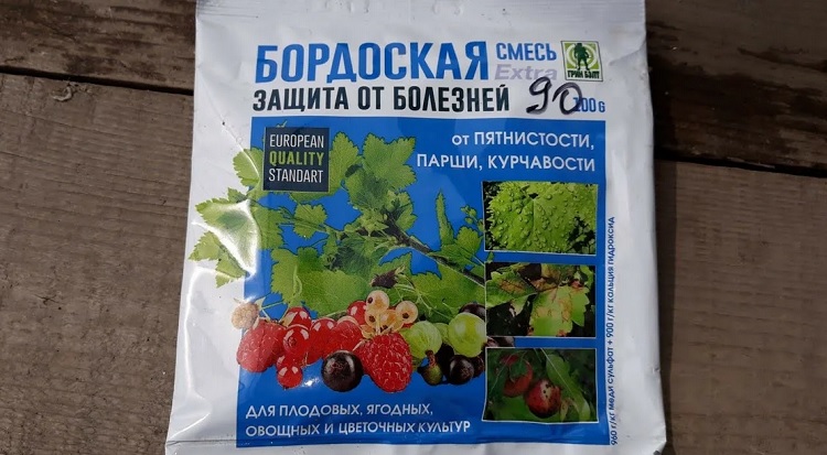 бордоская жидкость: как развести смесь для опрыскивания? инструкция по .... в чем заключаются особенности бордоской жидк