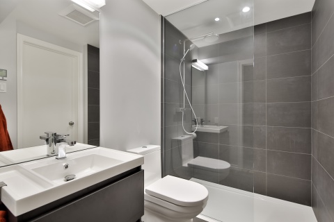 Kombinirana kupaonica: izgled i dizajn kupaonice i wc-a