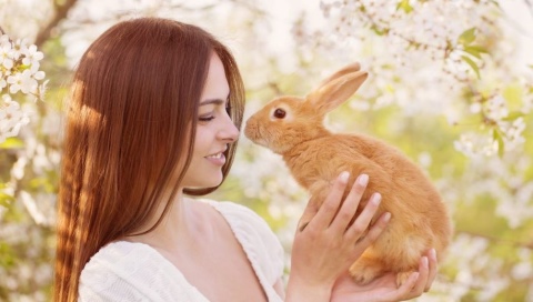 Имена для кроликов: какое дать и как к нему приучить?